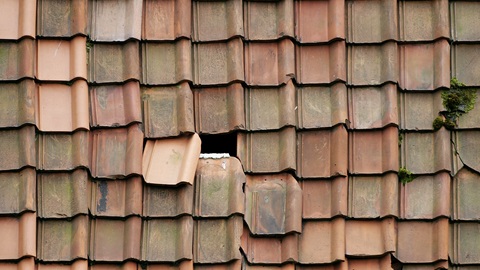 herstellingen aan huurwoning